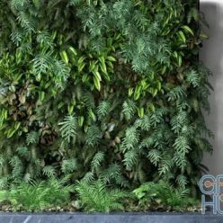 3D model CGTrader – Vertical Garden 1 3D model