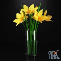 3D model Narcissus flowers