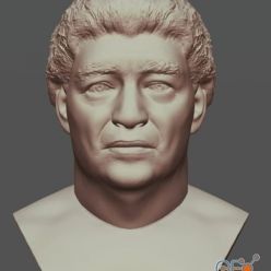 3D model Maradona Busto – 3D Print