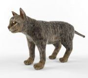 3D model Cat with Hair&Fur modifier