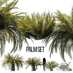 3D model Sago palm set