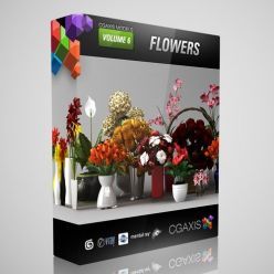 3D model CGAxis Models Volume 6 Flowers