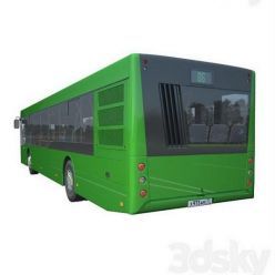 3D model MAZ 203 Bus