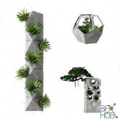 3D model Plant Compilation 93