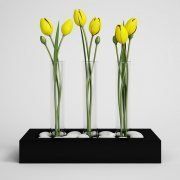 3D model Flower arrangement with tulips