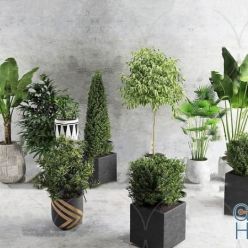 3D model Plant Compilation 78