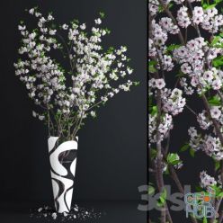 3D model Cherry White Blossom