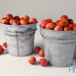 3D model Bucket of apples