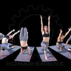 3D model Human Engine - Yoga 004 Bundle (max, fbx)