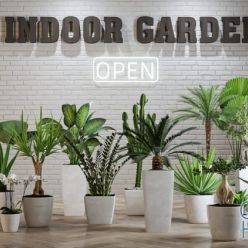 3D model Indoor Garden Plants for Rhino