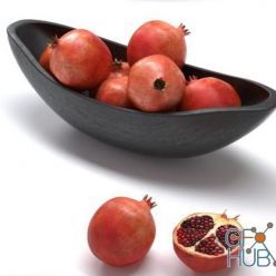 3D model Pomegranates in a vase