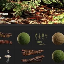 3D model Quixel – FOREST UNDERGROWTH