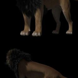 3D model Tobias Lion Maya Rig 3D