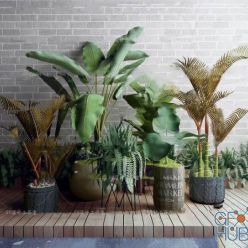 3D model Plant Compilation 27