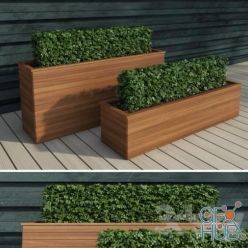 3D model Hedge Modern Rectangular Shrubs 2 (max, fbx)