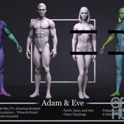 3D model CGTrader – Basemesh Set – Adam and Eve 3D Model Collection