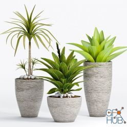 3D model Decorative plants in pots in ethnic style