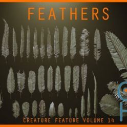 3D model ArtStation – FEATHERS - 40 High poly sculpts and IMM Brush
