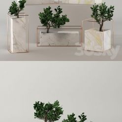 3D model Marble flower pot collection