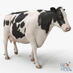 3D model Cow PRO ( Holstein )
