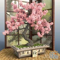 3D model Bonsai 1 Sakura