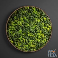 3D model Panel moss circle