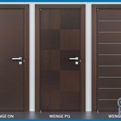 3D model Door Wenge