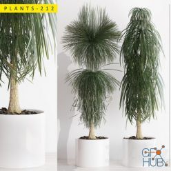 3D model PLANTS SET 212