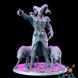 3D model Keoghradan Skull - Druid with Wolves
