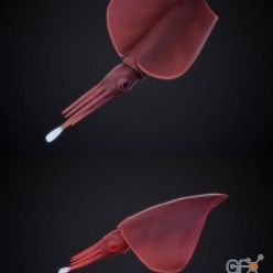 3D model Dana Squid PBR