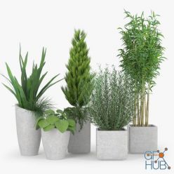 3D model Square Planters