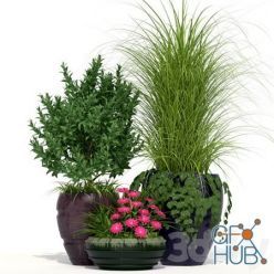 3D model Outdoor Planters