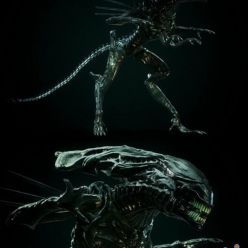 3D model The Queen of Aliens PBR