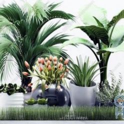 3D model Plant Compilation 07