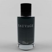 3D model Eau de Toilette Dior Sauvage