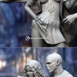 3D model Hermione and Voldemort – 3D Print