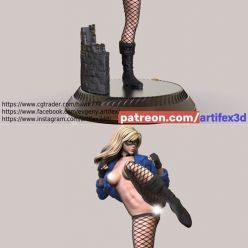 3D model Black Canary and NSFW – 3D Print