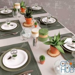 3D model Eco-style table setting