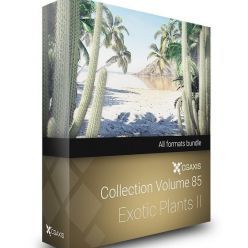 3D model CGAxis Models Volume 85 Exotic Plants II