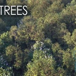 3D model VIZPARK – Real Trees