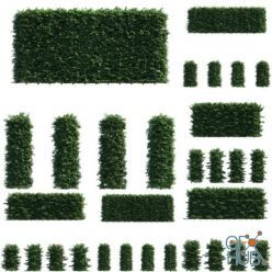 3D model Polyget – Beech Hedges 3D Models Pack