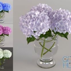 3D model Hydrangea bouquet 3 colour