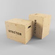 3D model STECTER pedestal for crossfit