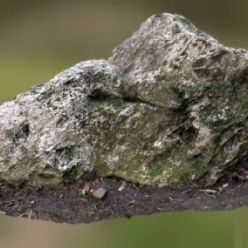 3D model Mossy Rock (fbx)