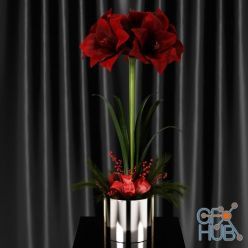 3D model Red Amaryllis (Max 2011, obj)