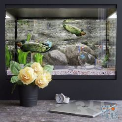 3D model Decorative set with aquarium