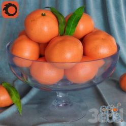 3D model Tangerines in a vase