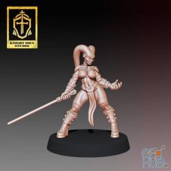 3D model Knightsou – 3D Print