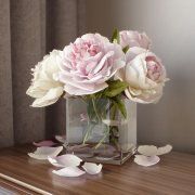 3D model Peonies in vase