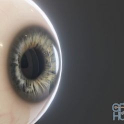 3D model Realistic Eye Pack